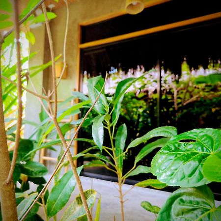 The Ohm Siargao Resort 卢纳将军城 外观 照片