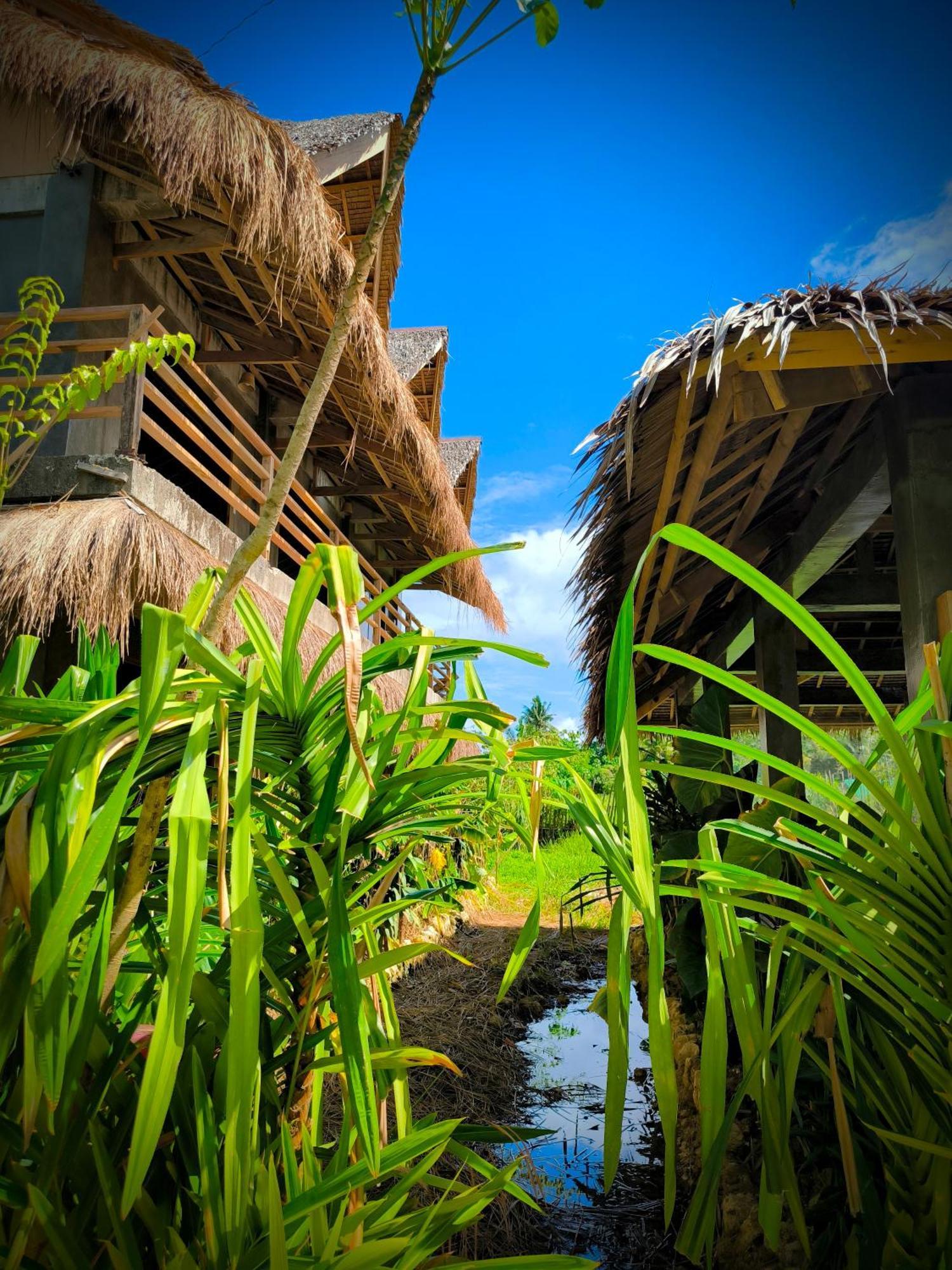The Ohm Siargao Resort 卢纳将军城 外观 照片