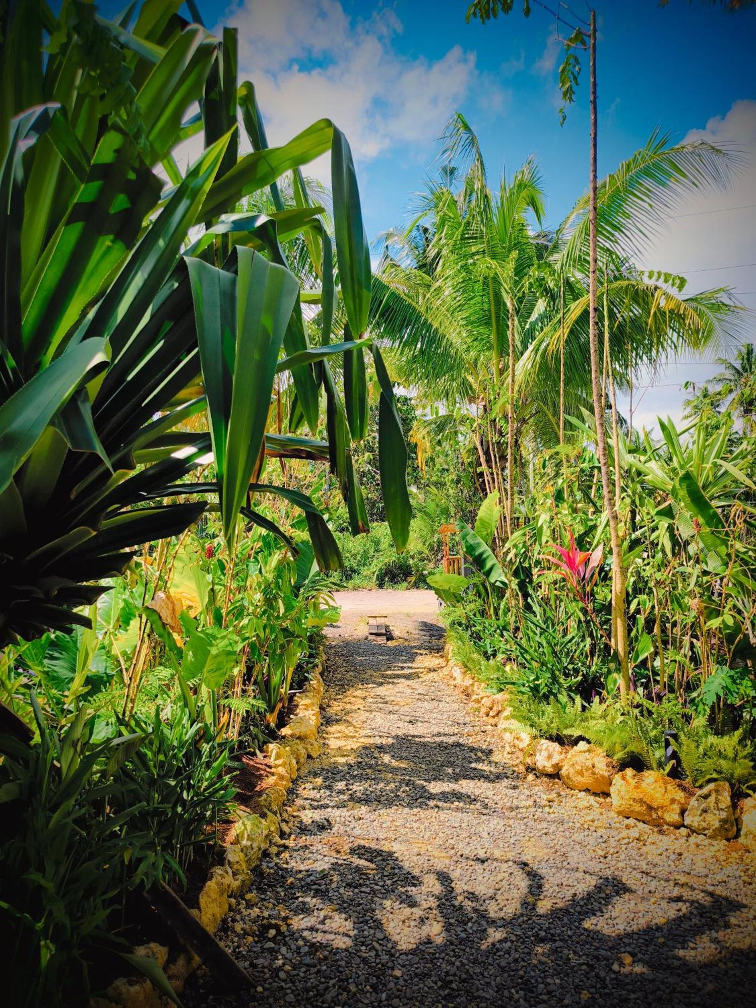 The Ohm Siargao Resort 卢纳将军城 外观 照片