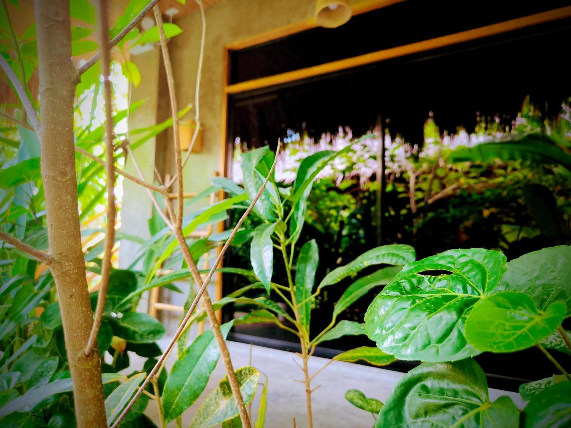 The Ohm Siargao Resort 卢纳将军城 外观 照片