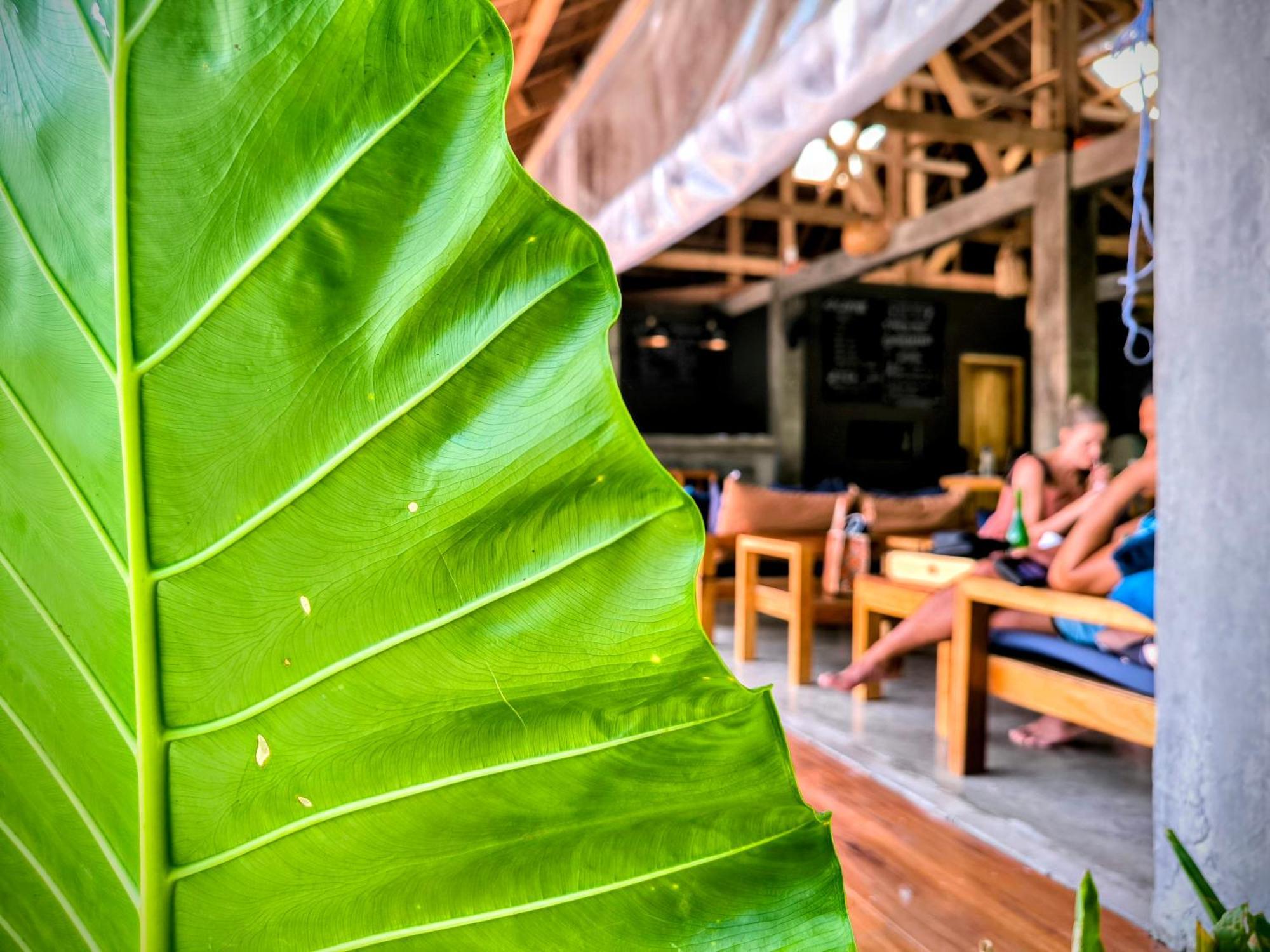 The Ohm Siargao Resort 卢纳将军城 外观 照片